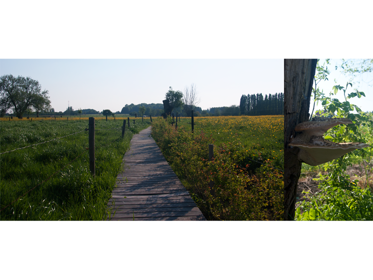 Tuin- en landschapsarchitect Klaas Van Cauwenberge